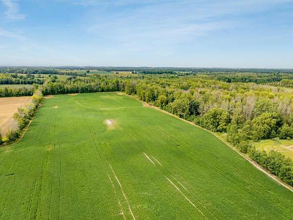 90.7 Acres of Land for Sale in Pulaski, Wisconsin
