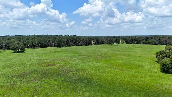 66.2 Acres of Land for Sale in Athens, Texas