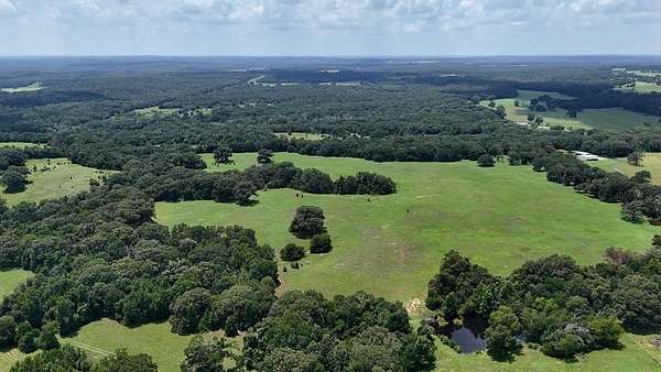 66.2 Acres of Recreational & Residential Land for Sale in Athens, Texas