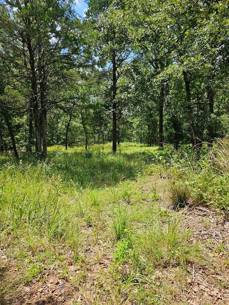 2 Acres of Residential Land for Sale in LaRue, Texas