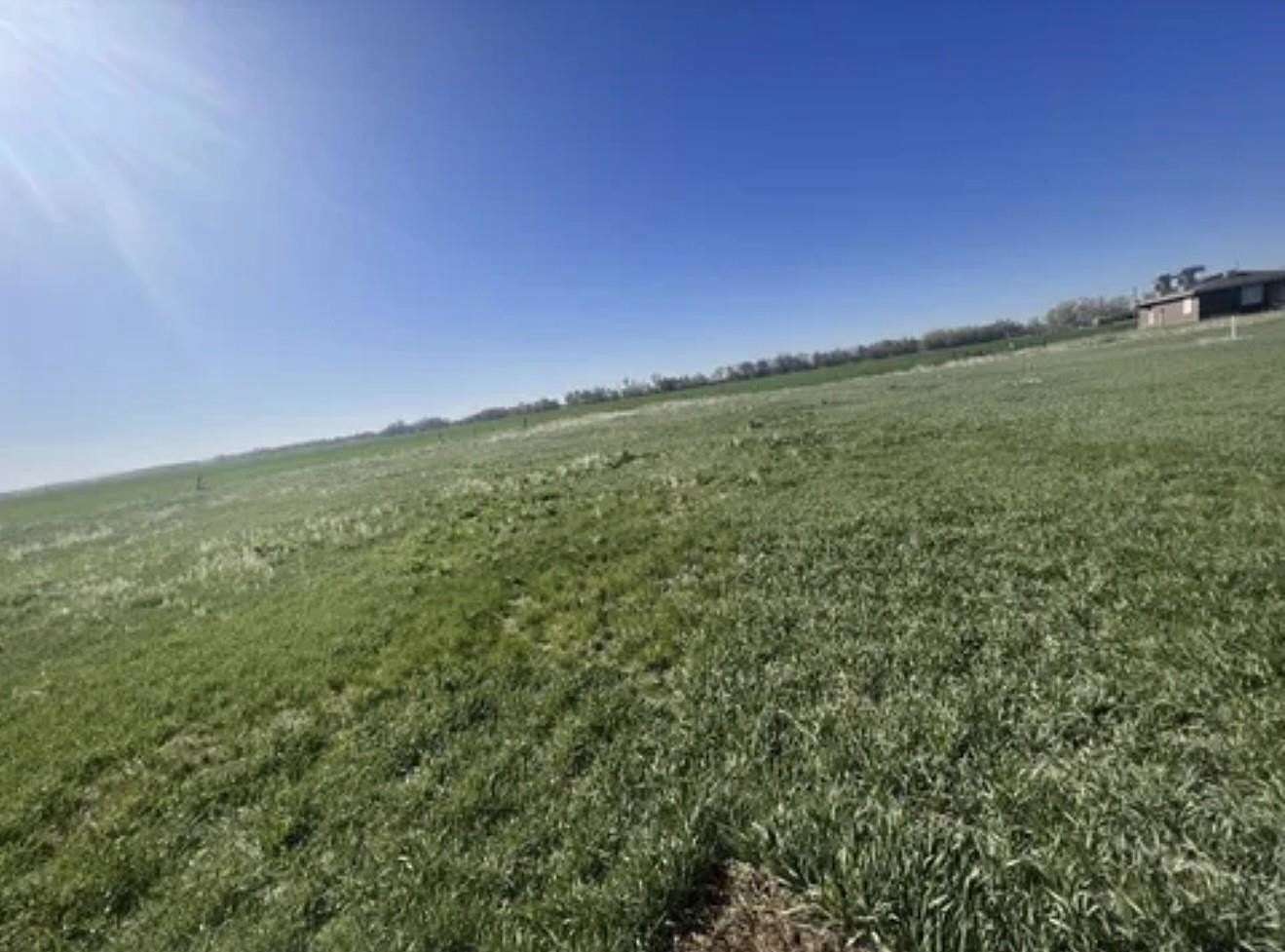 0.58 Acres of Residential Land for Sale in Schuyler, Nebraska