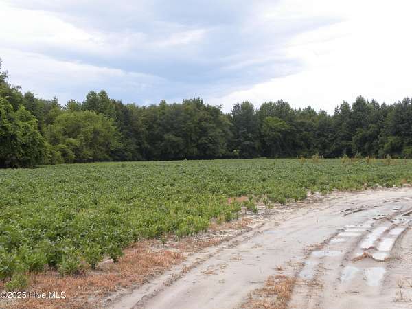 180 Acres of Recreational Land for Sale in Greenville, North Carolina