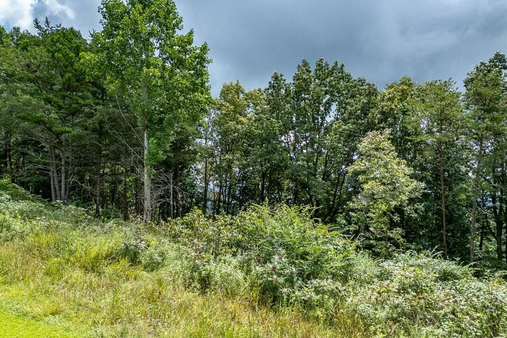 1 Acre of Land for Sale in Ellijay, Georgia
