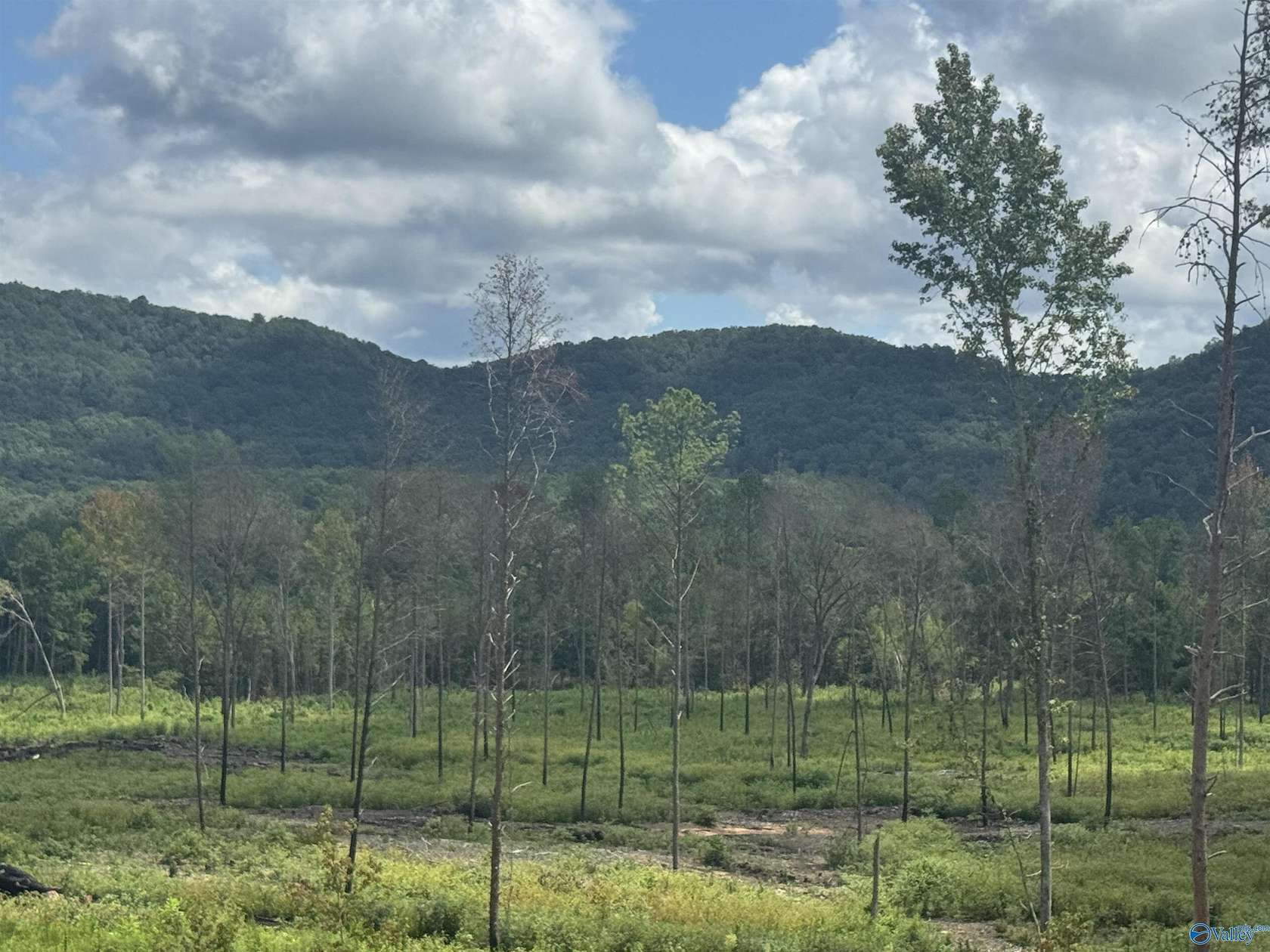 3 Acres of Residential Land for Sale in Gaylesville, Alabama