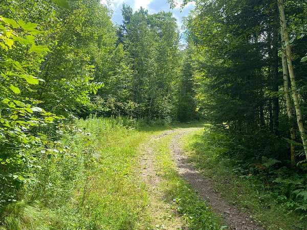 400 Acres of Recreational Land for Sale in Park Falls, Wisconsin