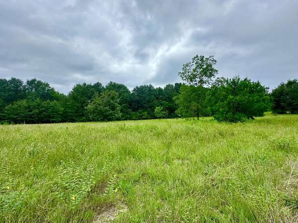 13.5 Acres of Land for Sale in Waynesboro, Georgia