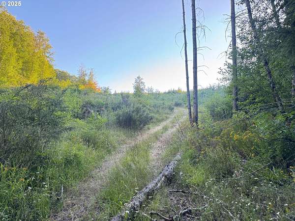 38.9 Acres of Recreational Land for Sale in St. Helens, Oregon