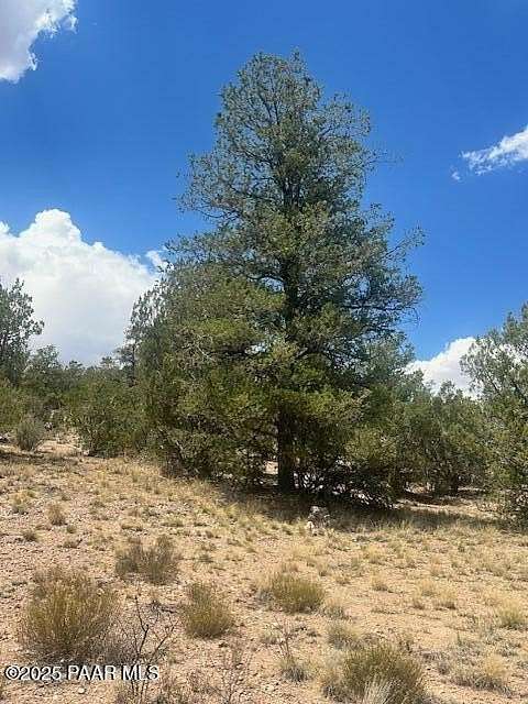 1 Acre of Residential Land for Sale in Seligman, Arizona