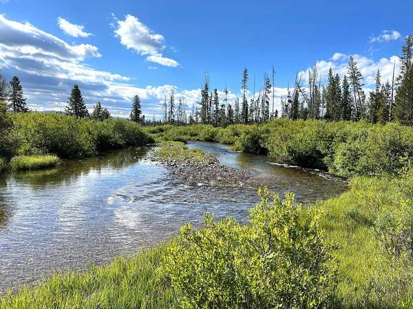 20.4 Acres of Land for Sale in Stanley, Idaho