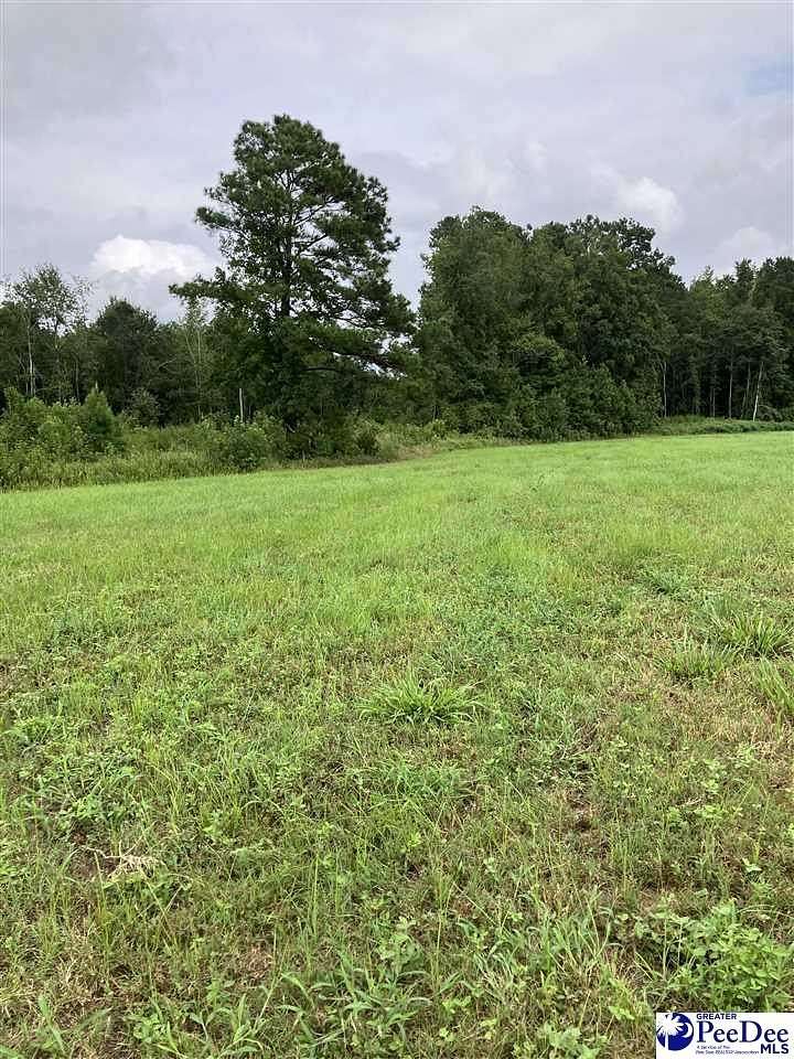 5.1 Acres of Residential Land for Sale in Kingstree, South Carolina