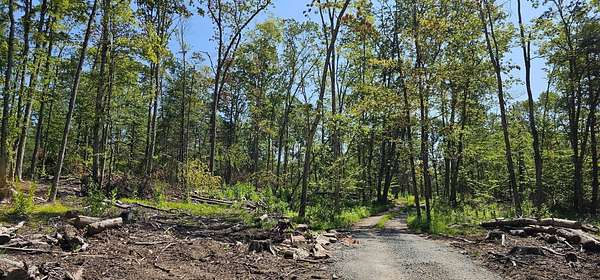 79 Acres of Land for Sale in Narrowsburg, New York