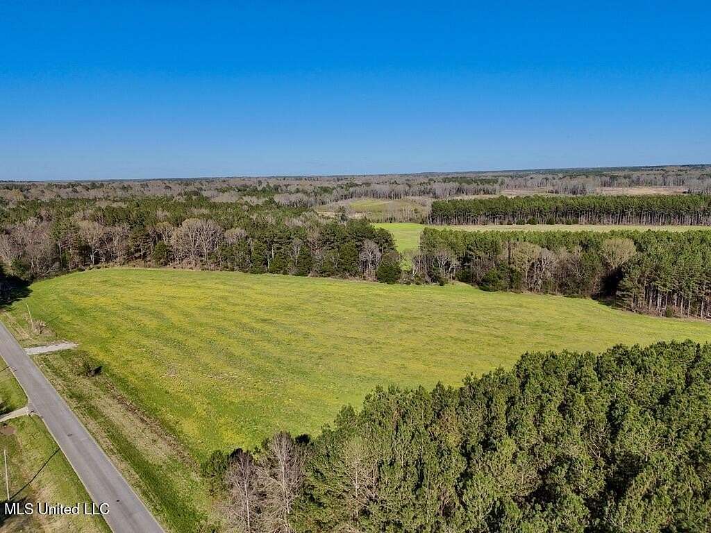 15.6 Acres of Land for Sale in Canton, Mississippi