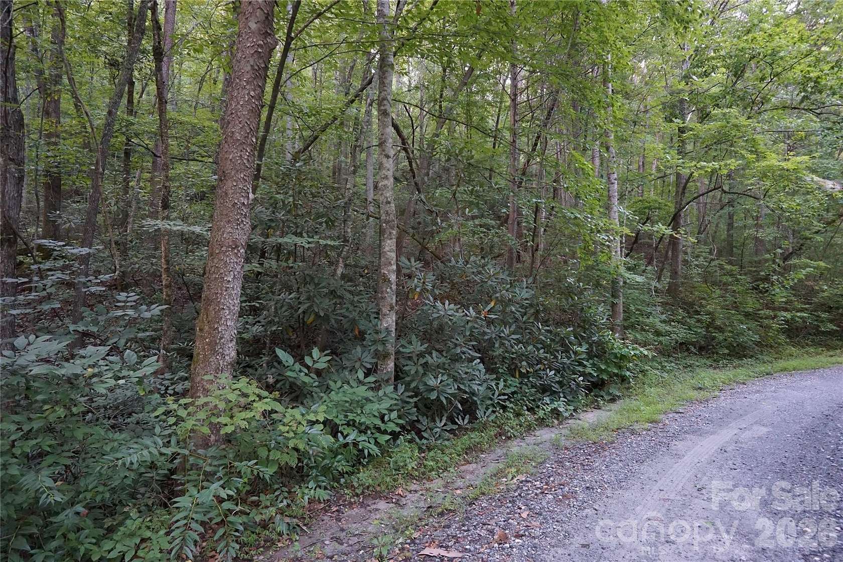 4.1 Acres of Residential Land for Sale in Lake Lure, North Carolina