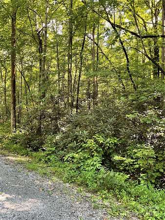 4.1 Acres of Land for Sale in Lake Lure, North Carolina