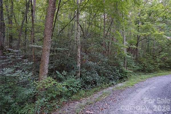 4.1 Acres of Residential Land for Sale in Lake Lure, North Carolina