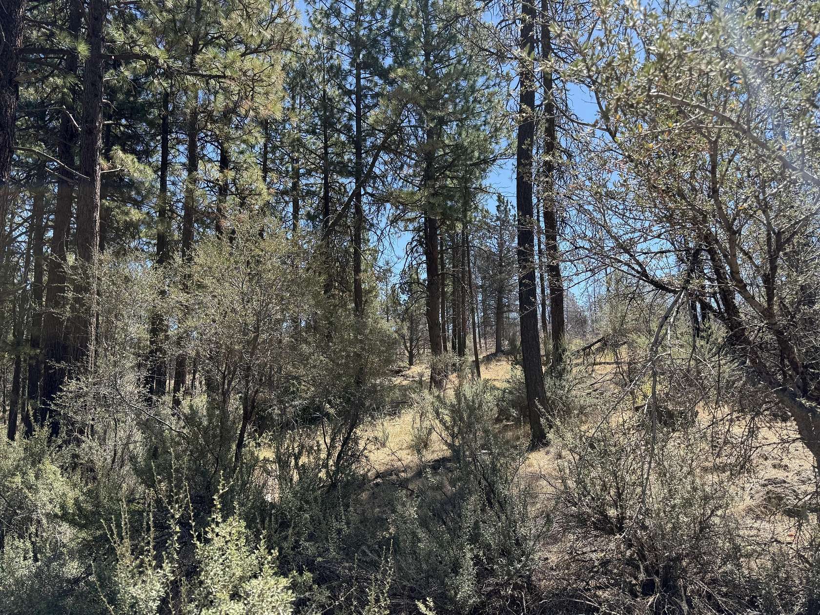 2.62 Acres of Residential Land for Sale in Bonanza, Oregon