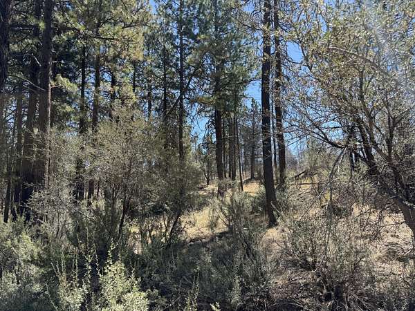 2.62 Acres of Residential Land for Sale in Bonanza, Oregon