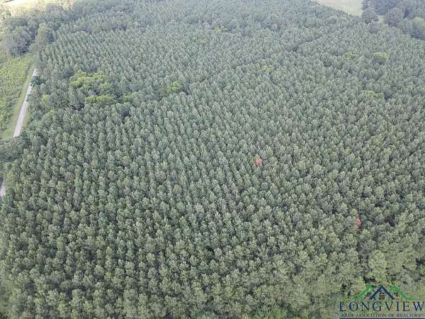 36 Acres of Recreational Land for Sale in Tenaha, Texas