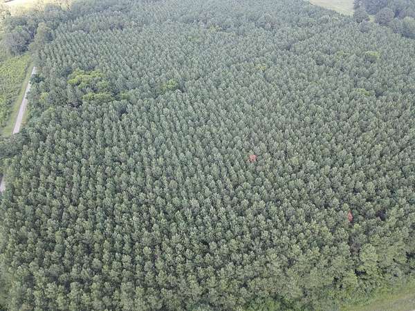 36 Acres of Recreational Land for Sale in Tenaha, Texas