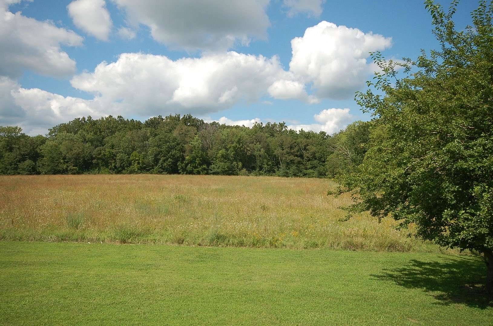 11.7 Acres of Agricultural Land for Sale in Streator, Illinois