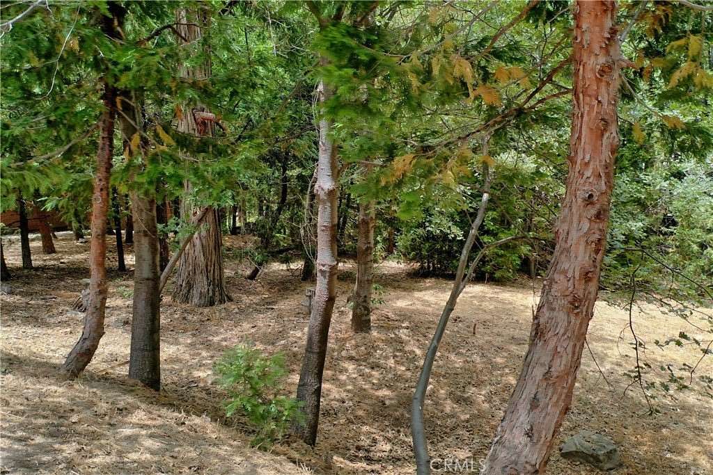 0.23 Acres of Land for Sale in Lake Arrowhead, California