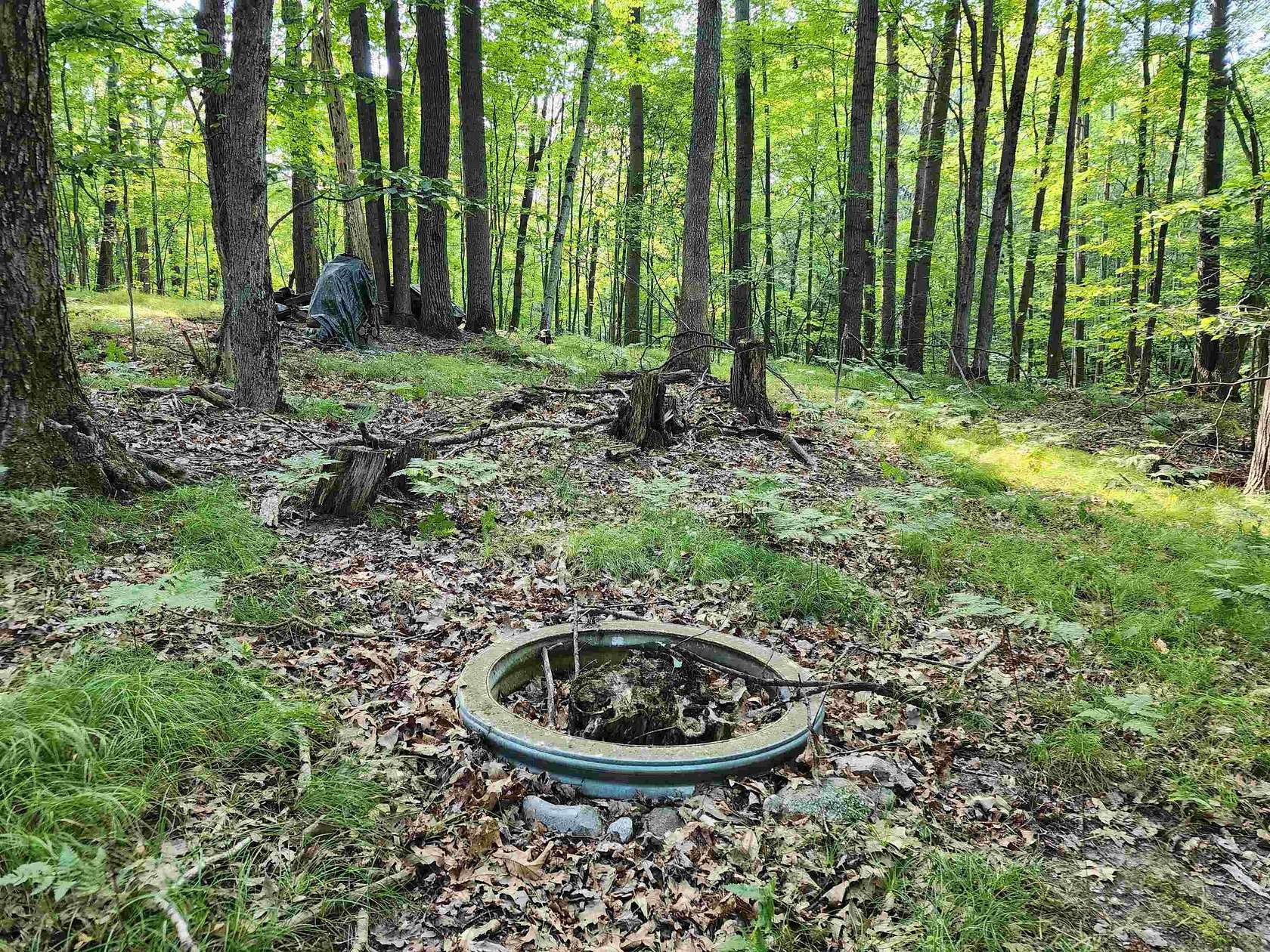 1.16 Acres of Residential Land for Sale in Farwell, Michigan