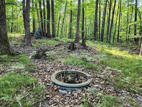 1.16 Acres of Residential Land for Sale in Farwell, Michigan