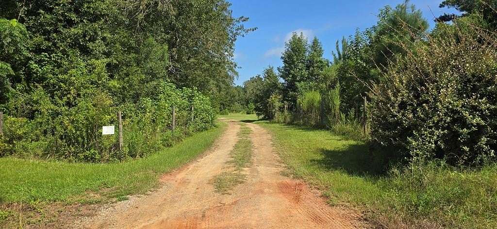 10 Acres of Recreational Land for Sale in Webb, Alabama