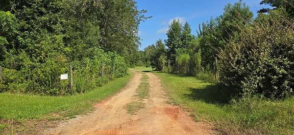 10 Acres of Recreational Land for Sale in Webb, Alabama