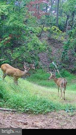 138 Acres of Recreational Land for Sale in Hyndman, Pennsylvania