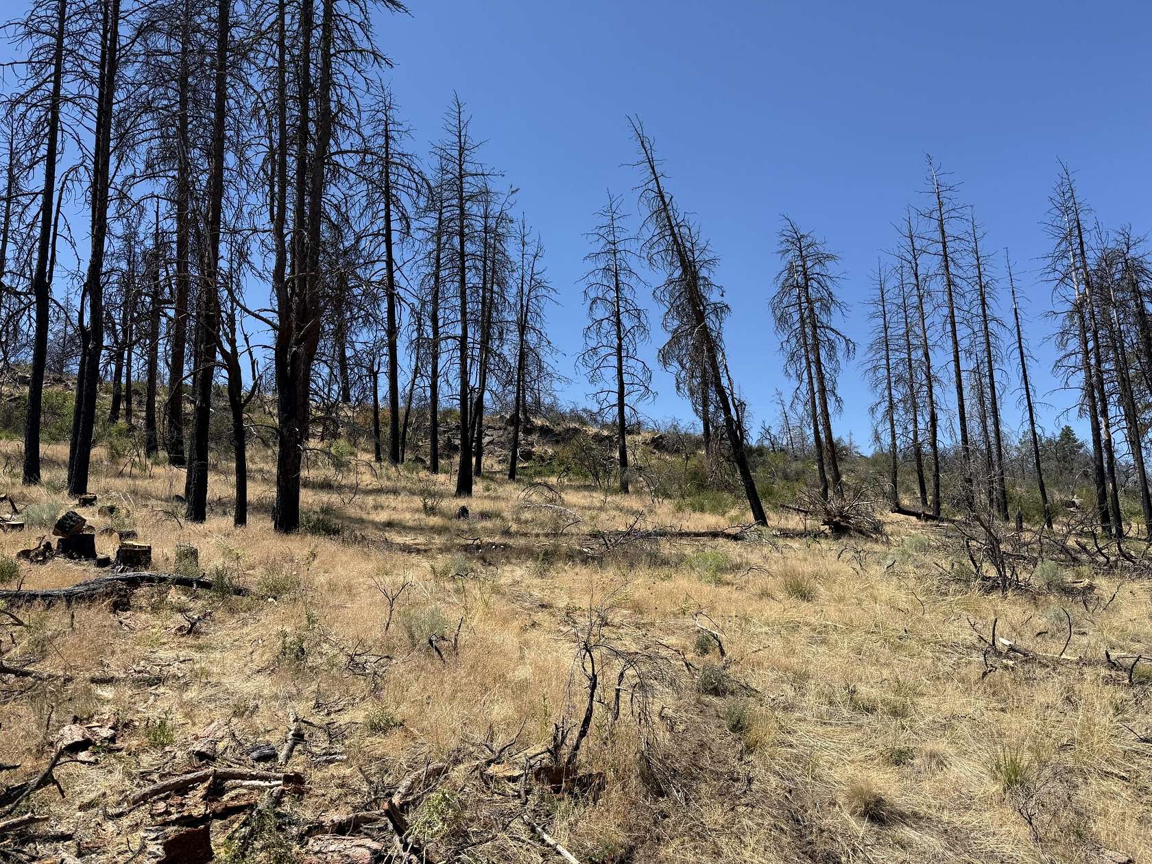 15 Acres of Recreational Land for Sale in Bonanza, Oregon