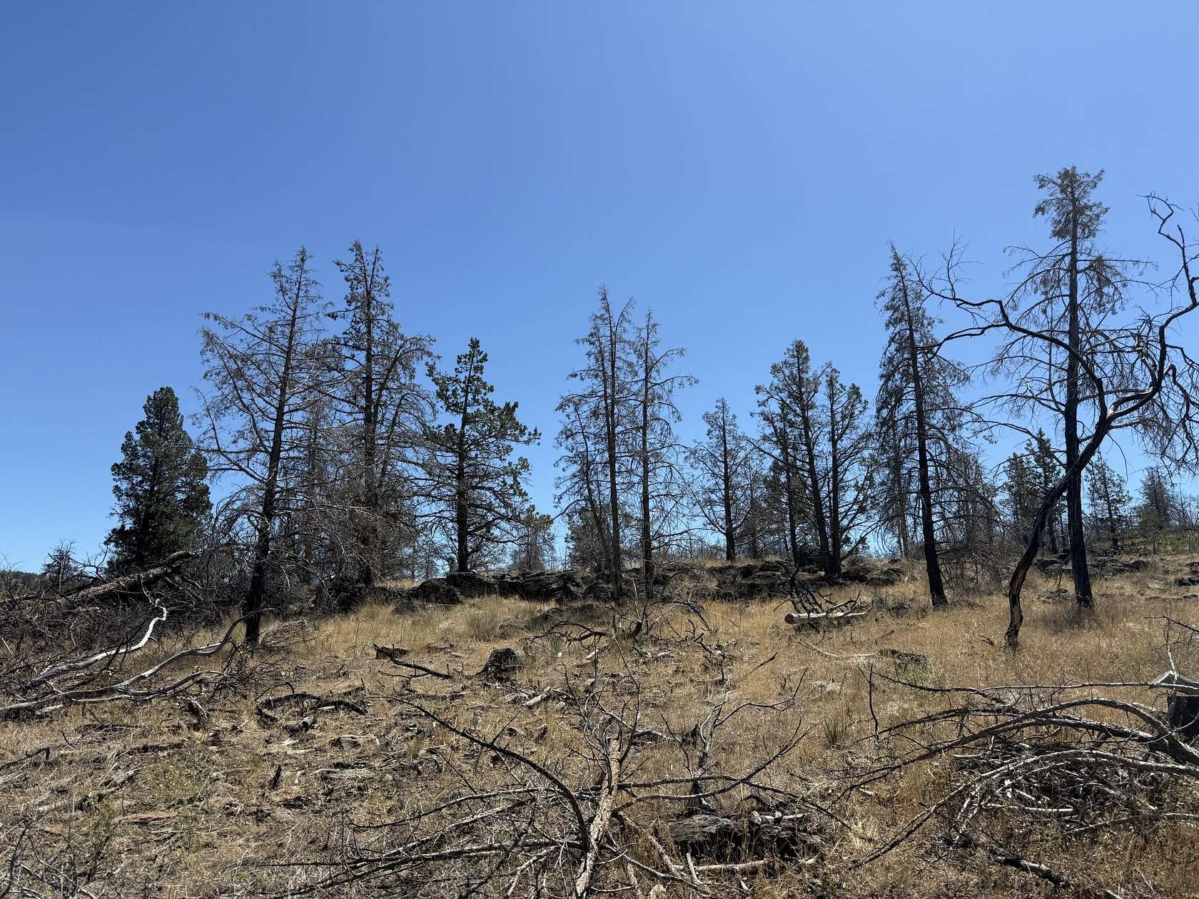 16.4 Acres of Recreational Land for Sale in Bonanza, Oregon