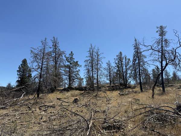 16.4 Acres of Recreational Land for Sale in Bonanza, Oregon