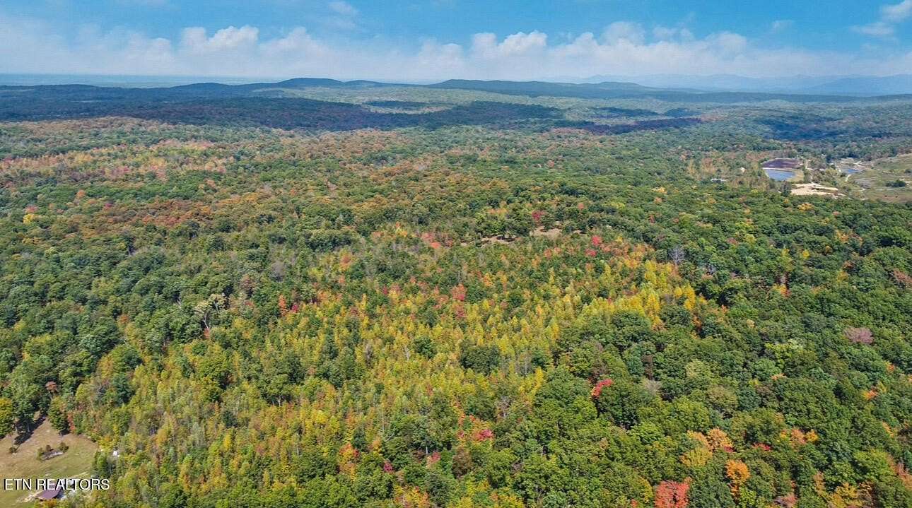 88.2 Acres of Recreational Land for Sale in Crab Orchard, Tennessee