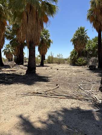 2.47 Acres of Land for Sale in Niland, California