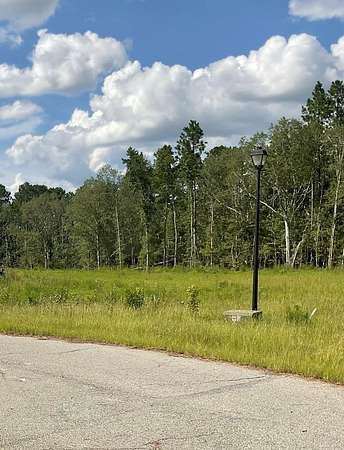 5.34 Acres of Residential Land for Sale in Vidalia, Georgia