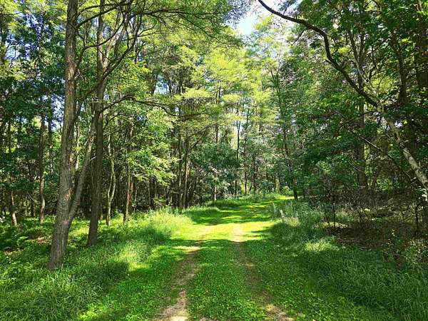 1.77 Acres of Residential Land for Sale in Neshkoro, Wisconsin