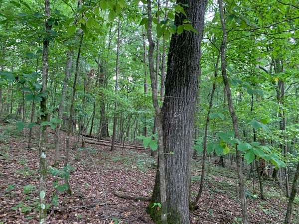 3 Acres of Residential Land for Sale in Harrison, Tennessee