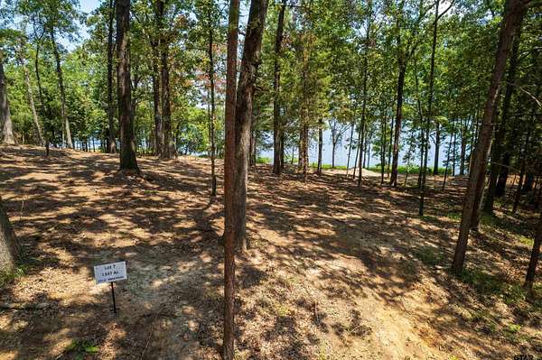 1.55 Acres of Residential Land for Sale in Leesburg, Texas