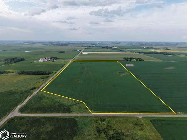 73.8 Acres of Agricultural Land for Sale in Minnesota Lake, Minnesota
