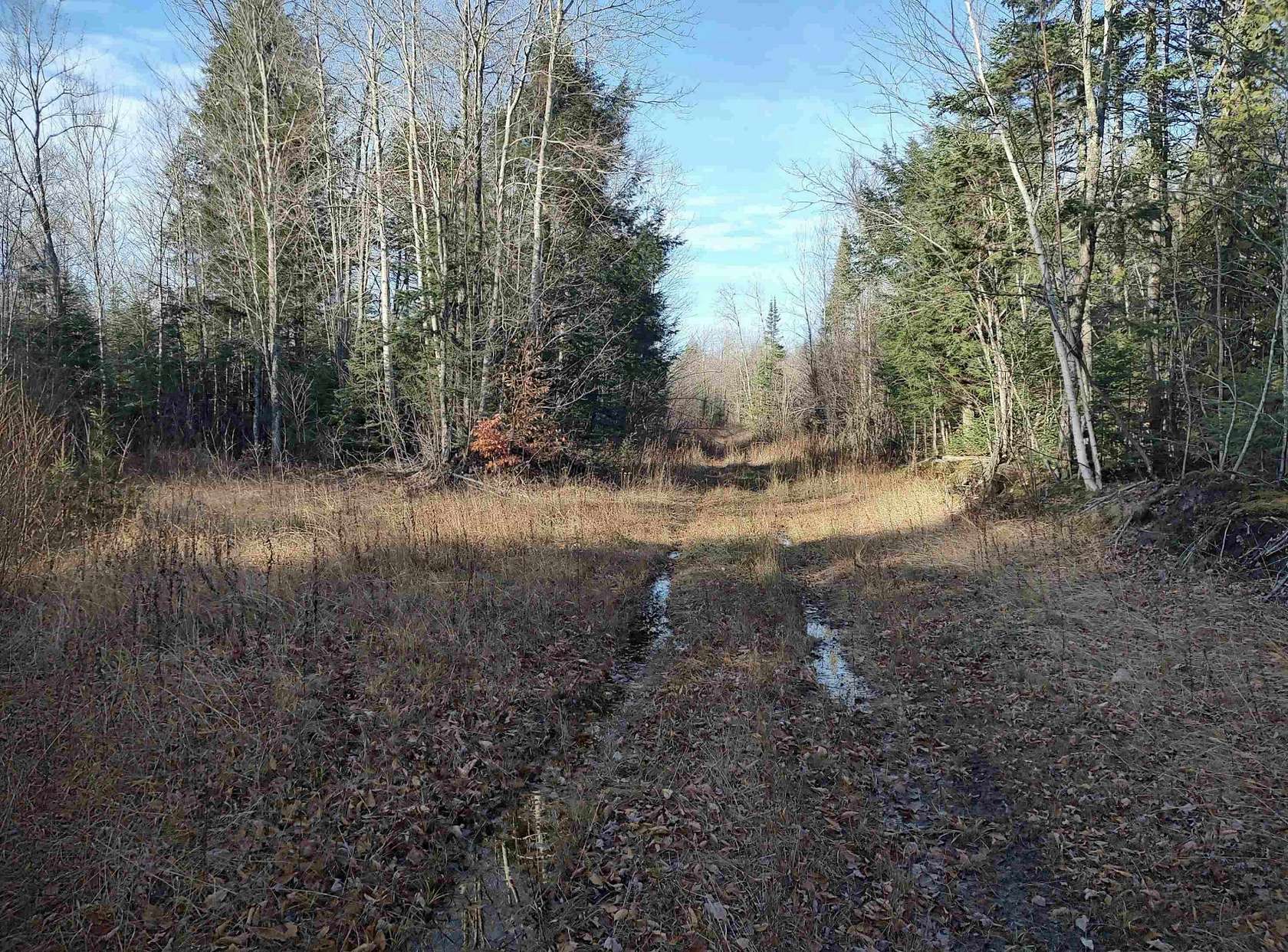 240 Acres of Recreational Land & Farm for Sale in Deerton, Michigan