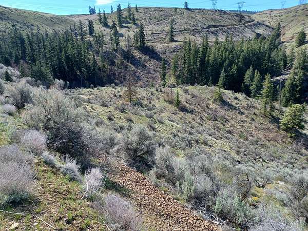 6.2 Acres of Land for Sale in Waterville, Washington