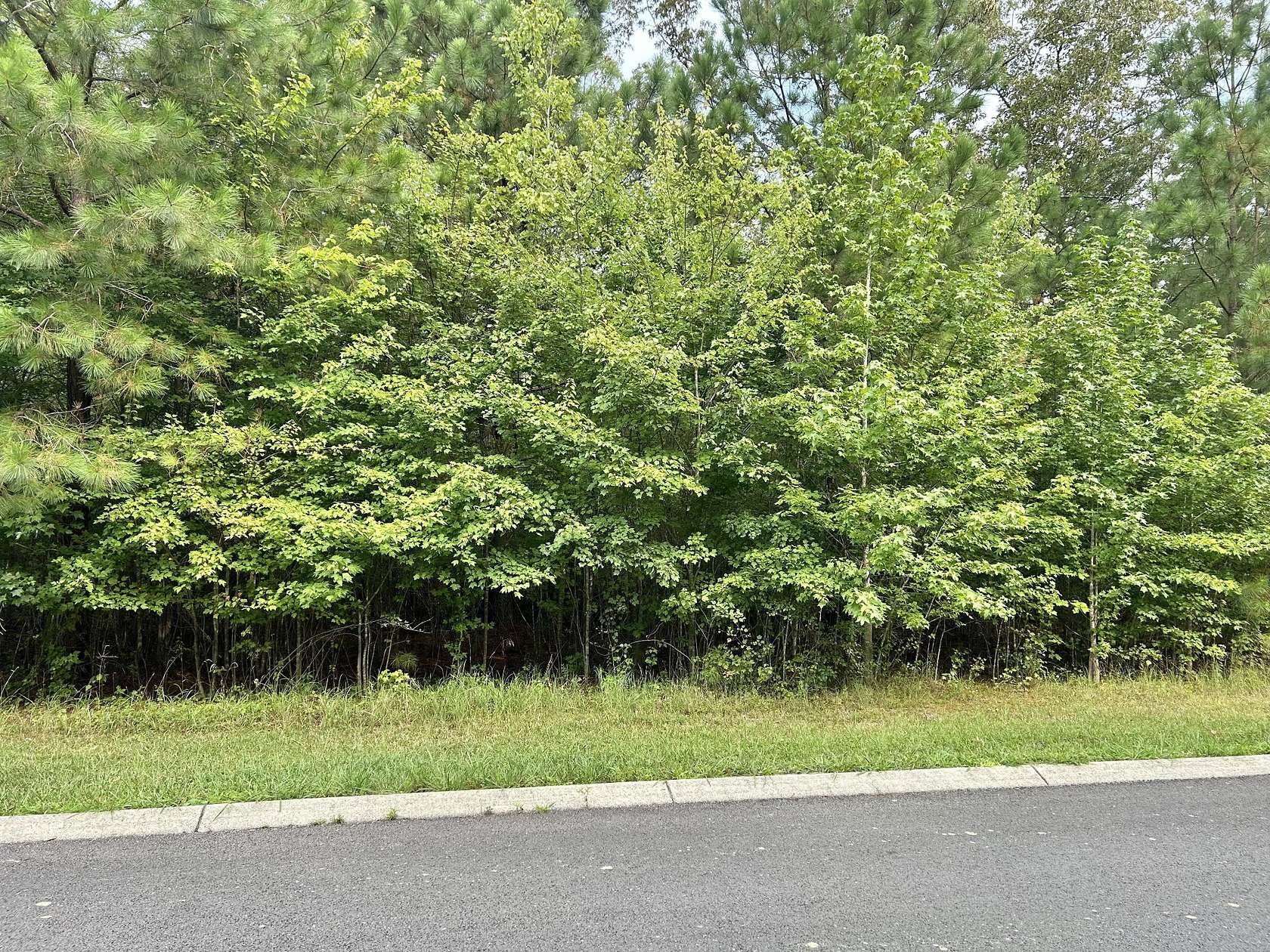 15.3 Acres of Land for Sale in Manchester, Tennessee