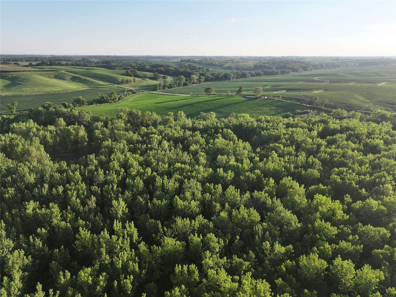 126 Acres of Recreational Land for Sale in Sigourney, Iowa