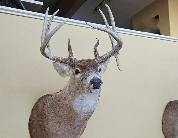 126 Acres of Recreational Land for Sale in Sigourney, Iowa