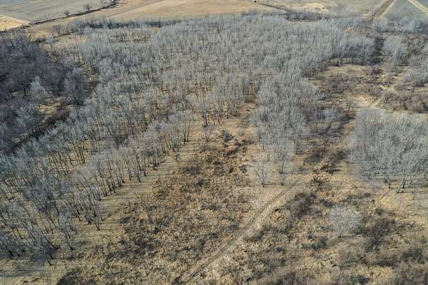 126 Acres of Recreational Land for Sale in Sigourney, Iowa