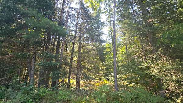 1.39 Acres of Land for Sale in Rhinelander, Wisconsin