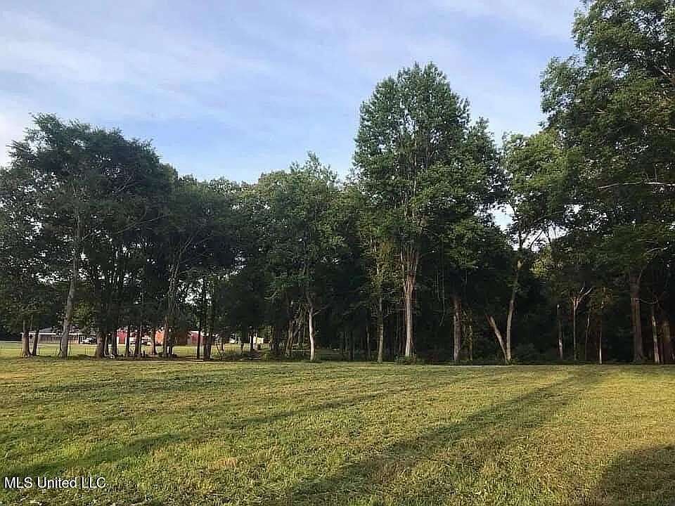 36 Acres of Recreational Land for Sale in Hernando, Mississippi