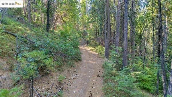 4.4 Acres of Residential Land for Sale in Twain Harte, California