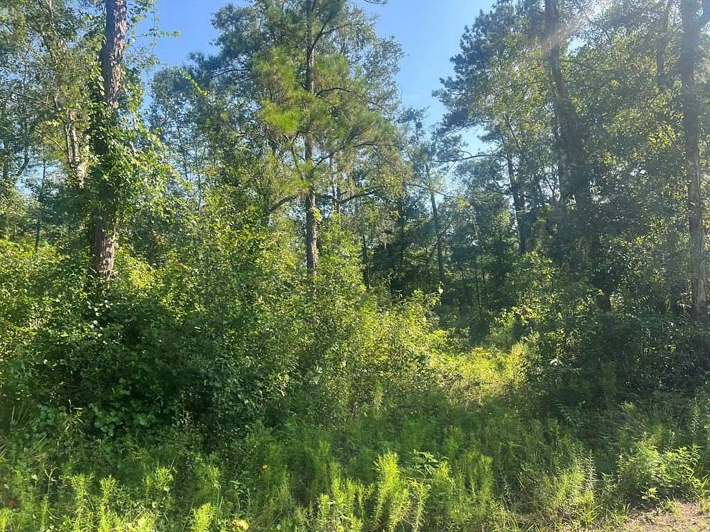 0.41 Acres of Land for Sale in Old Town, Florida